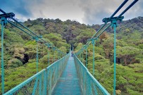 touren-monteverde-micha-selvatura