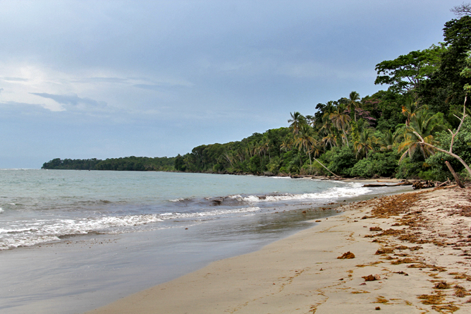 Costa Rica Cahuita Nationalpark – Strand
