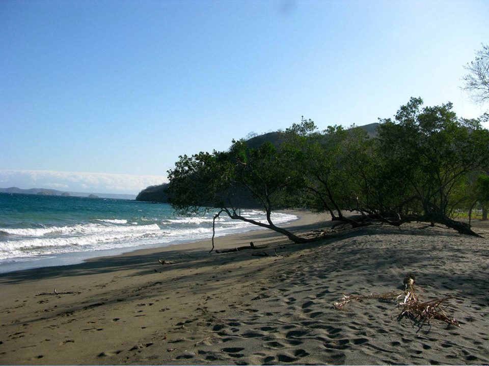 Matapalo Beach
