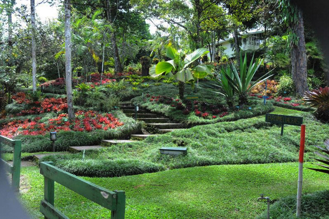 San Vito Botanischer Garten Wilson