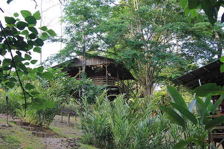 Selva Bananito Lodge