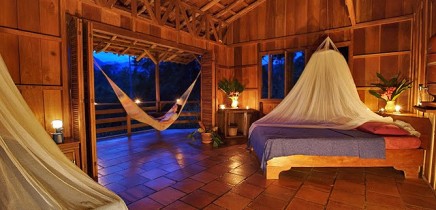Selva-Bananito-Lodge-Superior-Cabin2