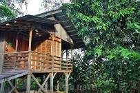 Selva Bananito Lodge Bungalow