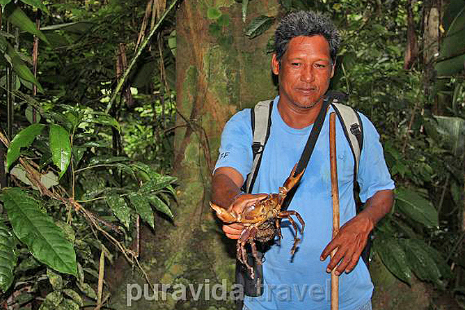 Selva Bananito Urwald Exkursion