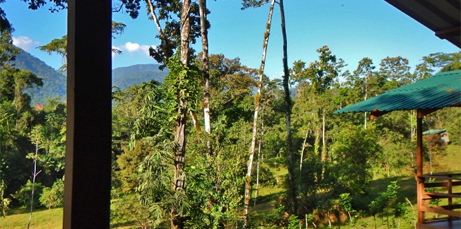selva_bananito_standard_bungalow_-view