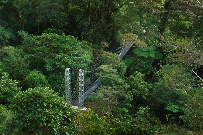 Albergue Pozo Verde – Quetzal-Lehrpfad: Hängebrücke