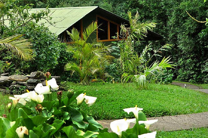 Monteverde Cloud Forest Lodge: Gartenanlage mit Gästebungalow