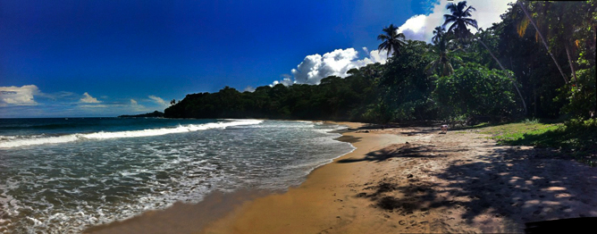 Samasati: Cocles Beach Panorama