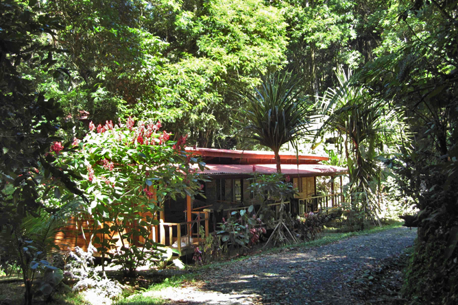 Samasati Nature Retreat – Gästehaus “Monkey” Standard-Zimmer