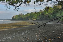 Sirena-Biologische-Station_Drake-Bay-1