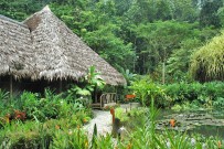 Esquina Rainforest Lodge