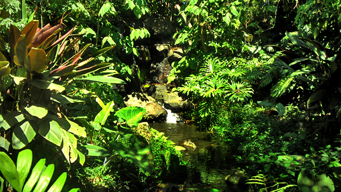 In Bio Parque Costa Rica