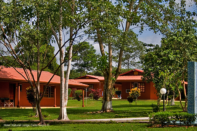 Natural Lodge Caño Negro – Bungalows mit Deluxe-Zimmer