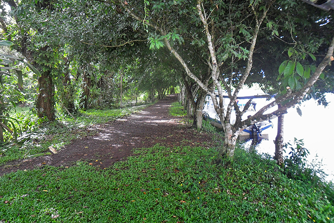 Natural Lodge Caño Negro – Río Frio Flusspromenade