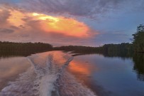 Isla-Violin_Sierpe-Fluss