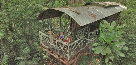 Maquenque-Lodge_Tree-House-1