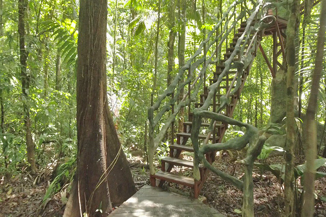 Maqueque Lodge – Tree House, Stufenaufgang