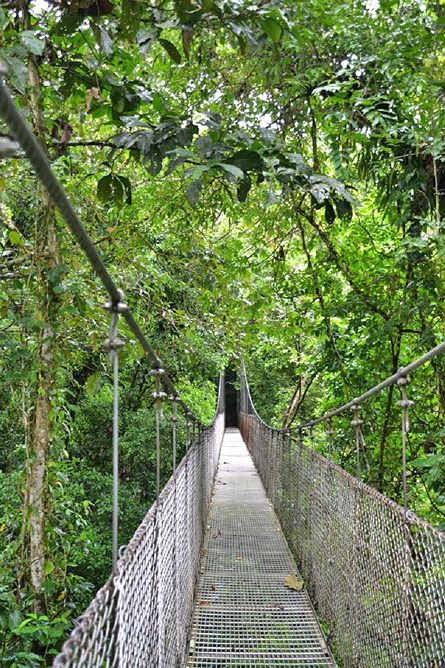 Monteverde Nebelwald – Hängebrücken-Park