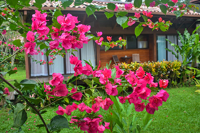 Kenaki Lodge – Garten mit Bougainvillea