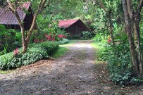 Arenal Oasis Zufahrt