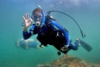 Tauchen_Guanacaste_Scuba-Diving_Fotos-Micha-03-11-2017