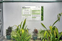 Mapache_Biojardinera_zur-Sauerstoffanreicherung-des-aufbereiteten-Wassers_Inspektionsbesuch_20-11.2017