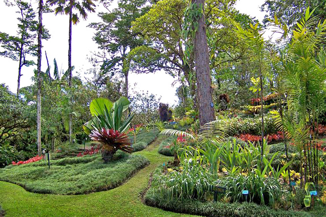 Botanische Gärten