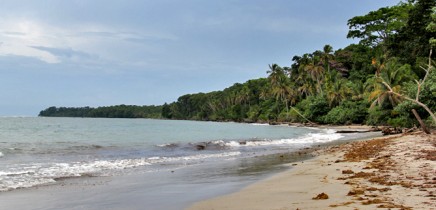 Cahuita Nationalpark Strand