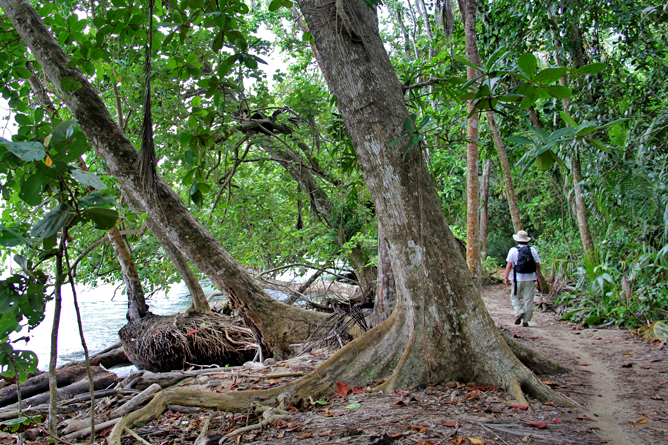 Cahuita Regenwald Wanderung
