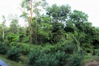 Pedacito de Cielo_Lodge_09-2018