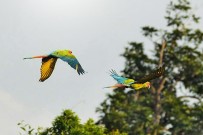 Pedacito de Cielo_Vogelbeobachtung_5_Reservat Camino de San Juan_09-2018