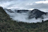 Maro_Wandertour_Cerro de la Muerte_Maro 10-2018