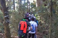 Maro_Wandertour_Regenwald_Maro 10-2018