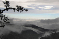 Suria-Lodge_Wanderung-Cerro-de-la-Muerte-2_Foto-Suria-11-2018