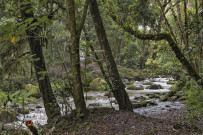 Suria-Lodge_Wanderung-San-Gerardo-Tal_Foto-Suria-11-2018