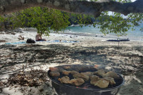 Yellowfin_Bootstour-Playa-de-Amor-3_Foto-11-2018