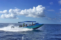 Isla Violin Bootsfahrt zur Insel Caño