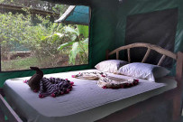 Nationalpark-Corcovado_Carate-La-Leona-Lodge_Foto-Osa-Wild_12-2018