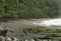 Osa Wild Nationalpark-Corcovado Sirena Trail nach Carate
