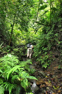 Nationalpark-Corcovado_Wanderung_Foto-Osa-Wild_12-2018