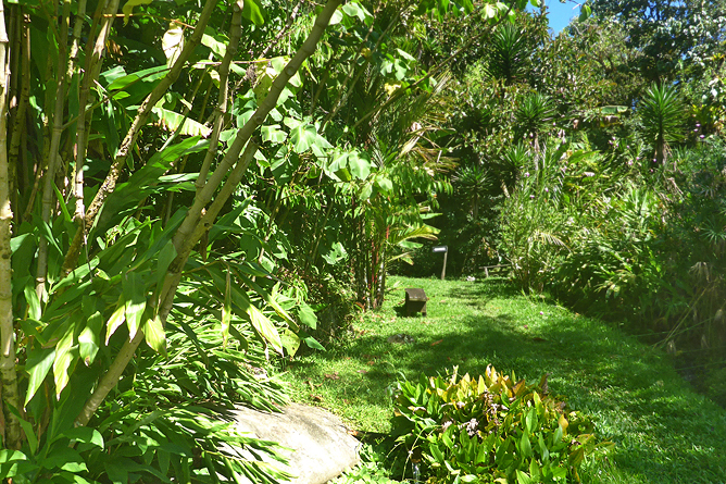 Jardin Secreto • San Gerardo de Rivas Bromeliengarten Costa Rica 05