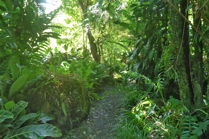 Jardin Secreto • San Gerardo de Rivas Bromeliengarten Costa Rica 07