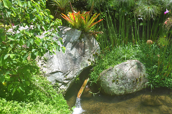 Jardin Secreto • San Gerardo de Rivas Bromeliengarten Costa Rica 24