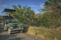 Rancho Humo Estancia - Wetland Tour