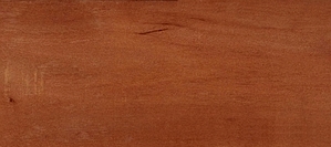 Ciprecillo – Escallonia myrtilloides